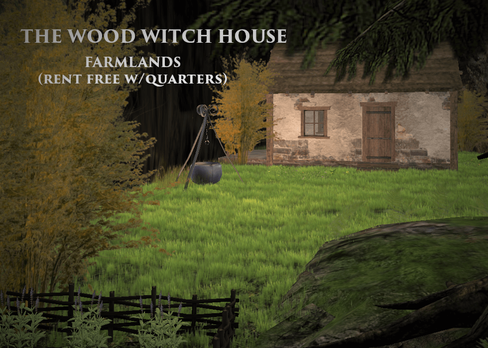 The Wood Witch House